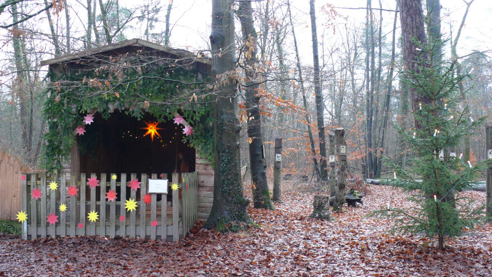 Ausstellung „Der kleine Weihnachtsstall“ (Foto: Naturschutzzentrum Rappenwört)