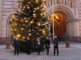 Vorstellung des Weihnachtsbaums vor dem Kaiserdom (Foto: Stadt Speyer)