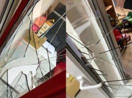 Die Einbrecher zerschlugen erst die Balkontür und richteten dann ein Chaos im Büro an. (Fotos: Stadtverwaltung Neustadt)