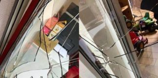 Die Einbrecher zerschlugen erst die Balkontür und richteten dann ein Chaos im Büro an. (Fotos: Stadtverwaltung Neustadt)