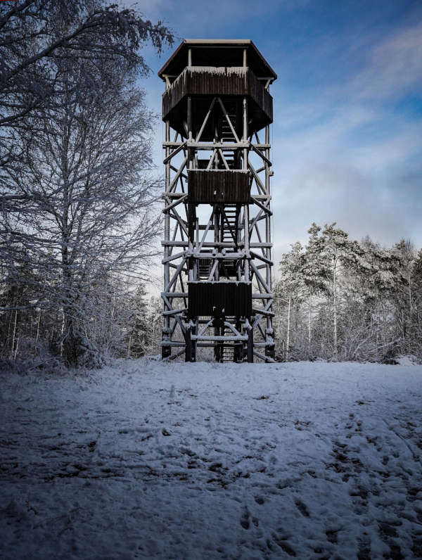 Der Winterwald zwischen Iggelbach und Johanniskreuz (Foto: Holger Knecht)