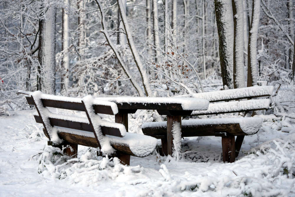 Der Winterwald zwischen Iggelbach und Johanniskreuz (Foto: Holger Knecht)