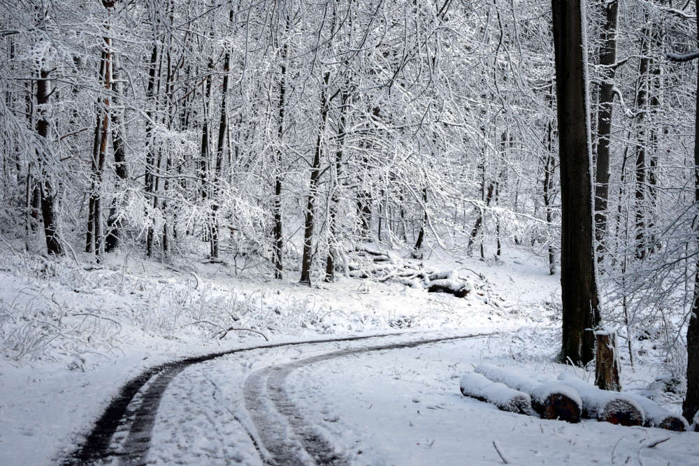 Der Winterwald zwischen Iggelbach und Johanniskreuz (Foto: Holger Knecht)