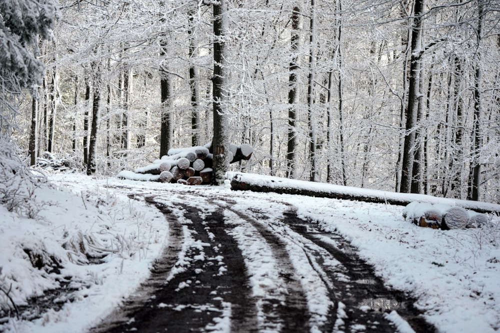 Der Winterwald zwischen Iggelbach und Johanniskreuz (Foto: Holger Knecht)