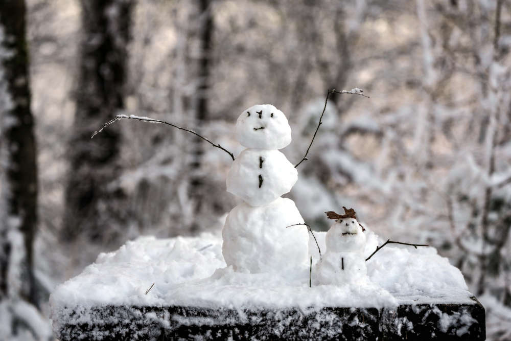 Der Winterwald zwischen Iggelbach und Johanniskreuz (Foto: Holger Knecht)