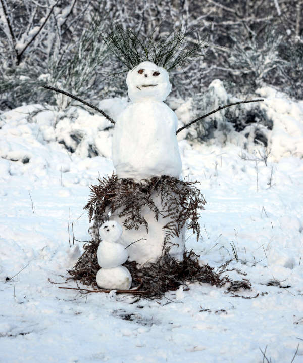 Der Winterwald zwischen Iggelbach und Johanniskreuz (Foto: Holger Knecht)