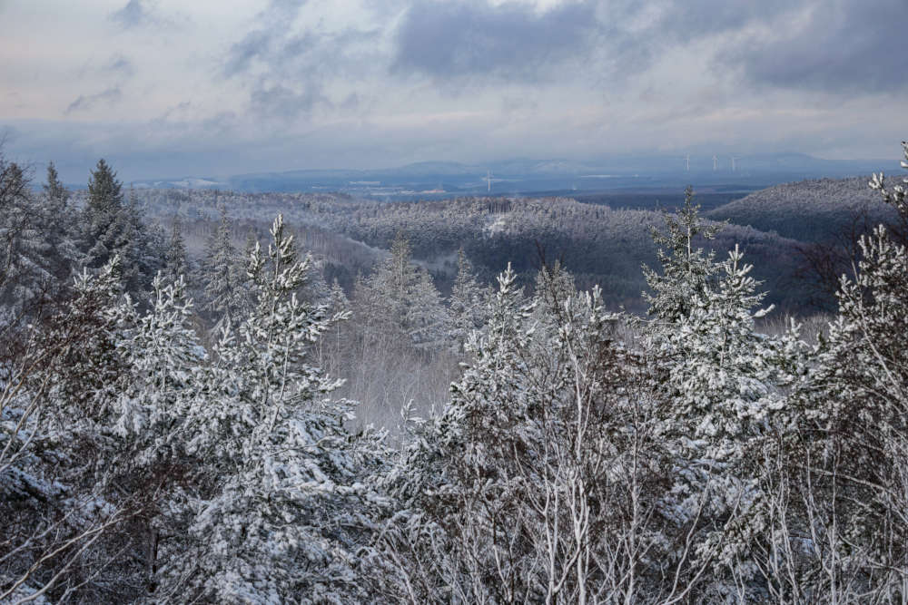 Der Winterwald zwischen Iggelbach und Johanniskreuz (Foto: Holger Knecht)