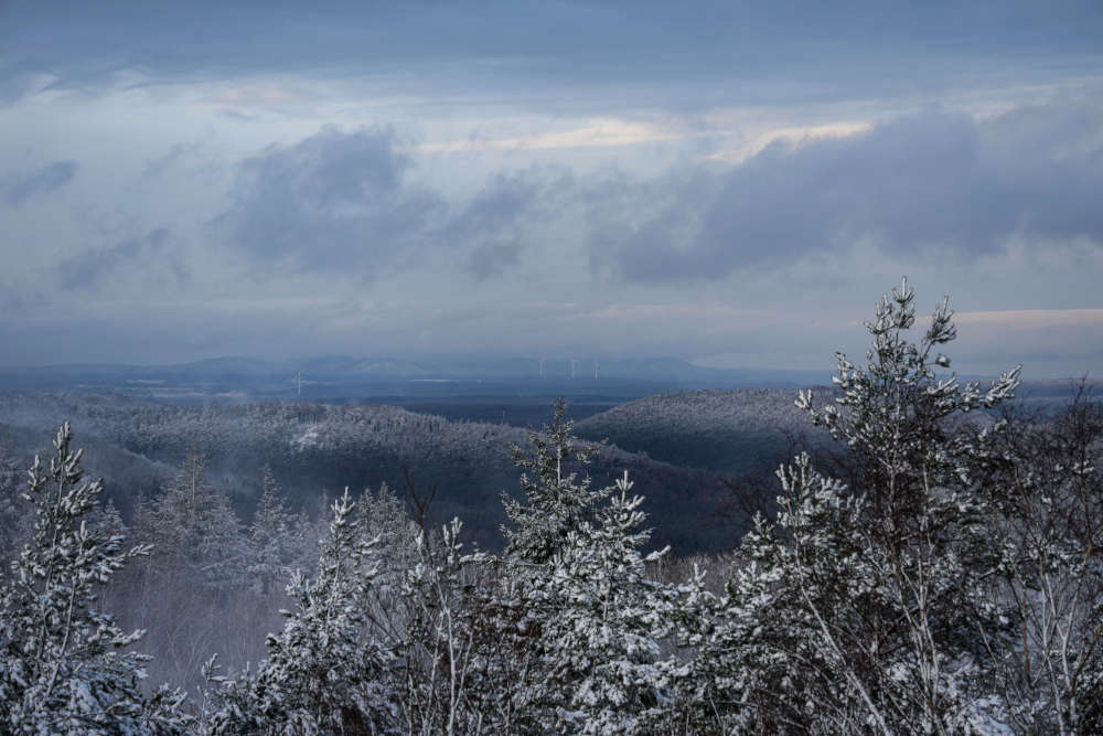 Der Winterwald zwischen Iggelbach und Johanniskreuz (Foto: Holger Knecht)