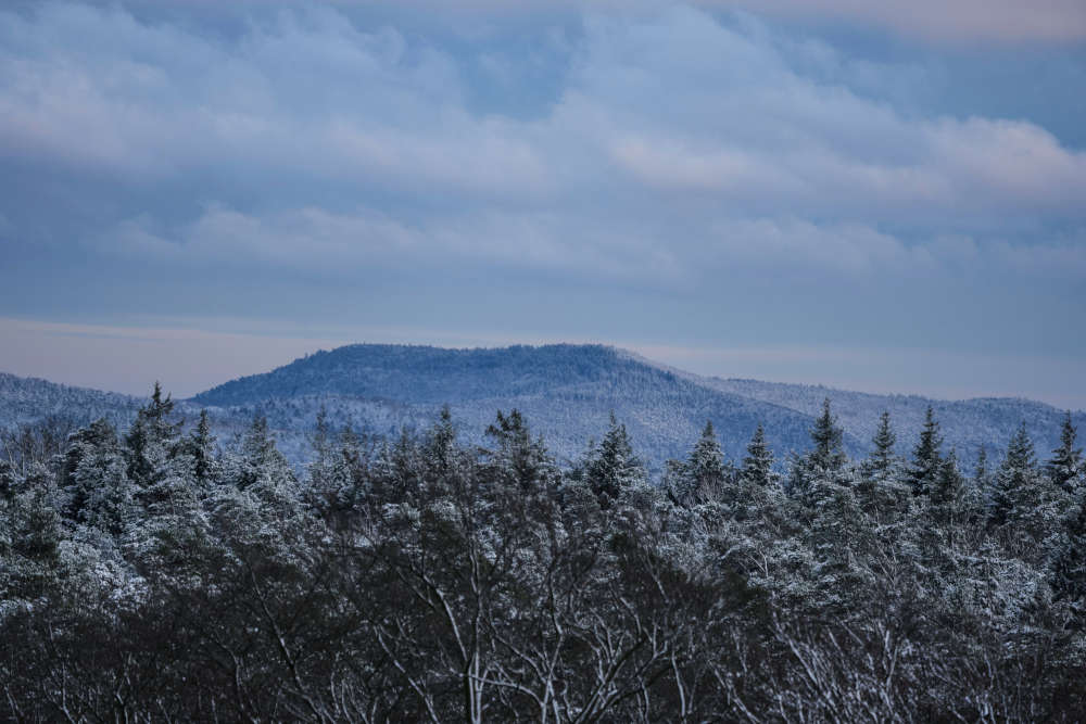 Der Winterwald zwischen Iggelbach und Johanniskreuz (Foto: Holger Knecht)