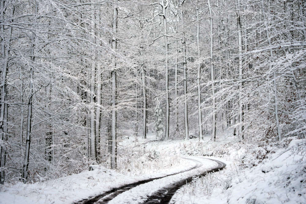 Der Winterwald zwischen Iggelbach und Johanniskreuz (Foto: Reinhard Schnell)