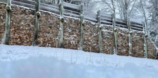 Schnee am Donnersberg - Keltenmauer (Foto: Kreisverwaltung Donnersbergkreis)