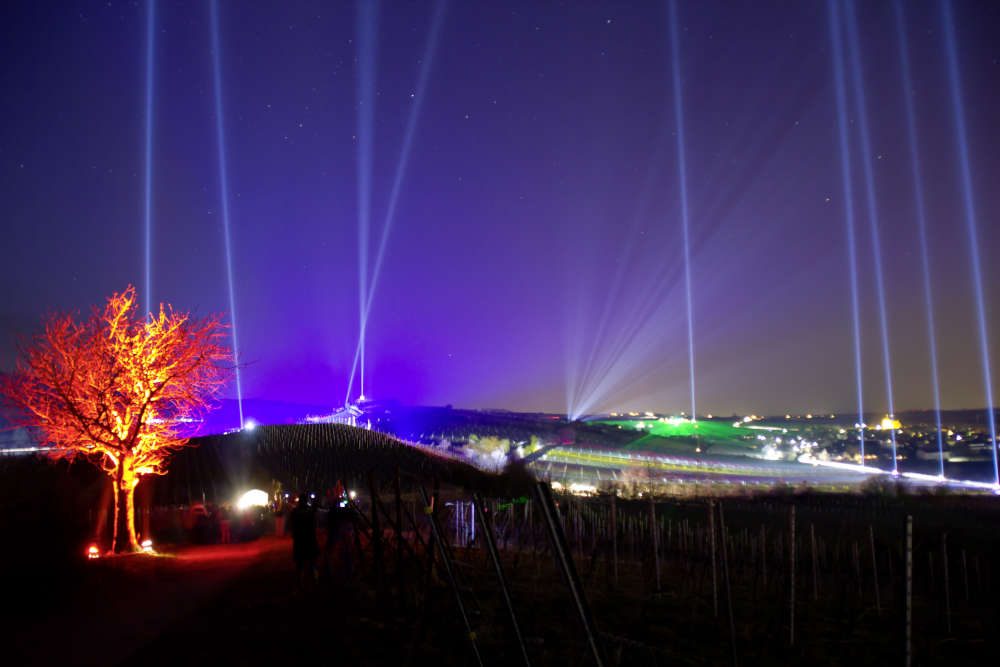 VWeinbergnacht - beleuchteter Baum mit Blick über illuminierte Weinberge (Foto: pfalzweinhaus.de/Andre Kunz)