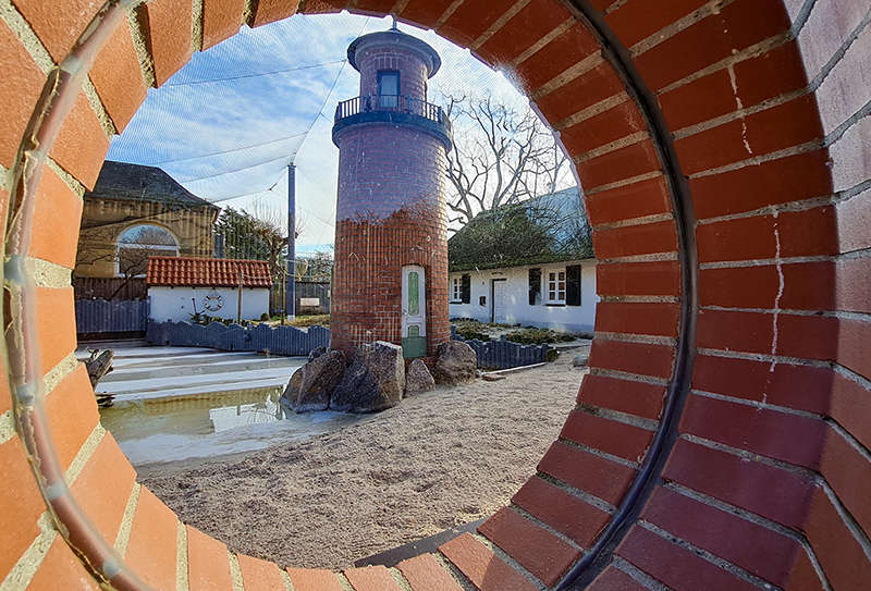 Blick ins leere Küstenpanorama. Die Vögel sind zum Schutz in ihrem Haus untergebracht. Doch nicht nur die Volieren im Zoo Heidelberg sind vorübergehend leer, sondern auch die Besucherwege. Ab dem 13.01.2022 bleibt der Zoo aufgrund des Vogelgrippe-Ausbruchs geschlossen. (Foto: Zoo Heidelberg)