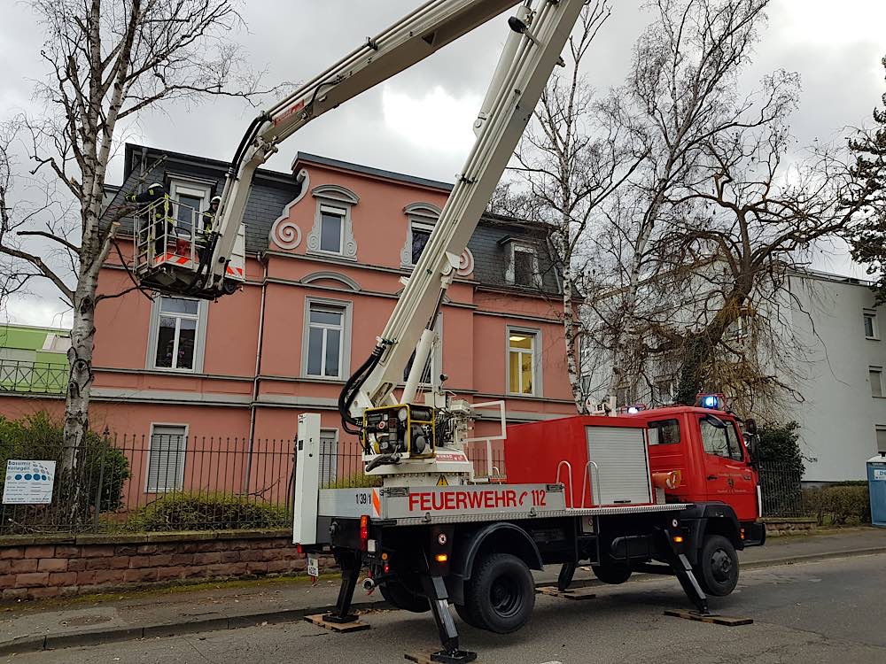 Einsatz in der Robert-Stolz-Straße (Foto: Feuerwehr Neustadt)