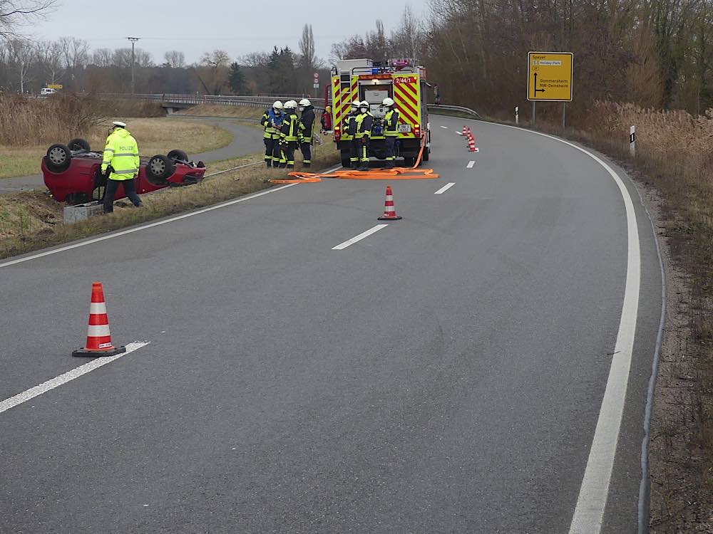 Die Unfallstelle (Foto: Feuerwehr Neustadt)