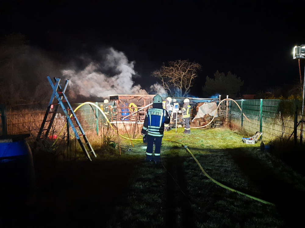 Flächenbrand auf Sandbuckelgelände (Foto: Feuerwehr Haßloch)