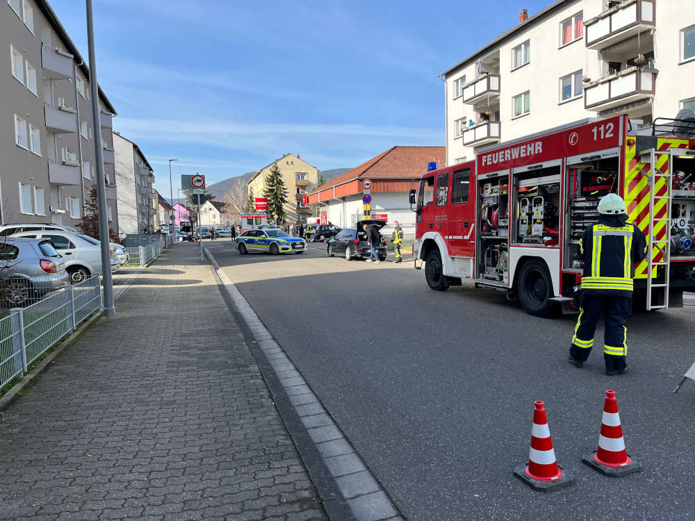 Die Unfallstelle (Foto: Feuerwehr Neustadt)