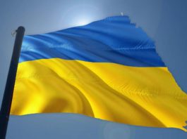 Symbolbild Flagge Ukraine (Foto: Pixabay/Gerd Altmann)