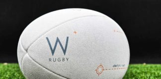 Symbolbild Rugby (Foto: Pixabay)