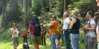 Mit ausgewiesenen und zertifizierten Kennerinnen und Kennern des Biosphärenreservats unterwegs: Führung mit einer Biosphären-Guide im Pfälzerwald (Foto: Biosphärenreservat)