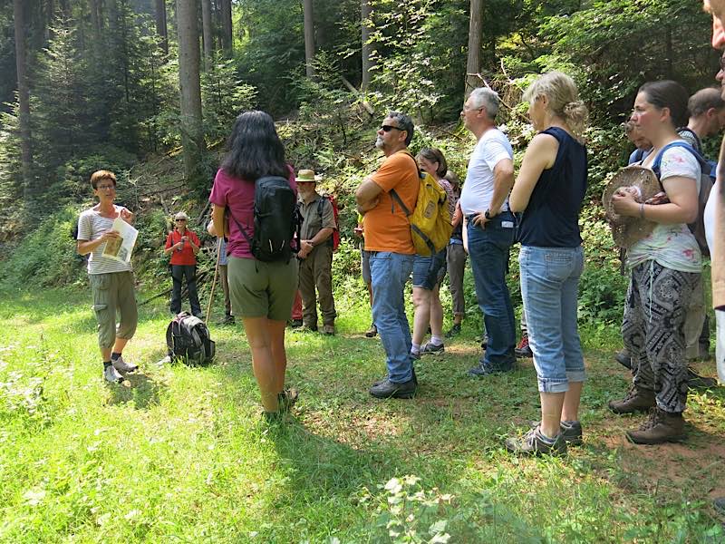Mit ausgewiesenen und zertifizierten Kennerinnen und Kennern des Biosphärenreservats unterwegs: Führung mit einer Biosphären-Guide im Pfälzerwald (Foto: Biosphärenreservat)