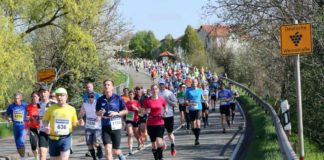 Marathon Deutsche Weinstraße (Foto: Foto: Kreis Bad Dürkheim / Laufreport.de)