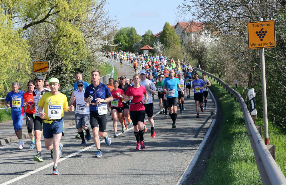 Marathon Deutsche Weinstraße (Foto: Foto: Kreis Bad Dürkheim / Laufreport.de)