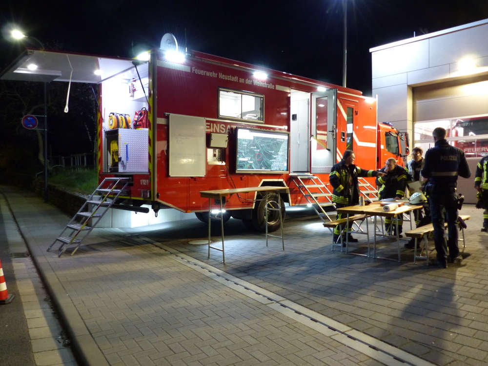 Waldbrand in Gimmeldingen (Foto: Feuerwehr Neustadt)