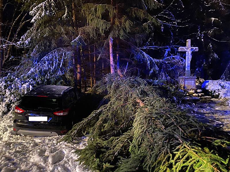 Feuerwehreinsatz (Foto: Feuerwehr Neustadt)