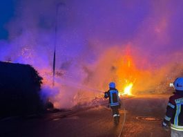 Brand einer Hecke (Foto: Feuerwehr Haßloch)