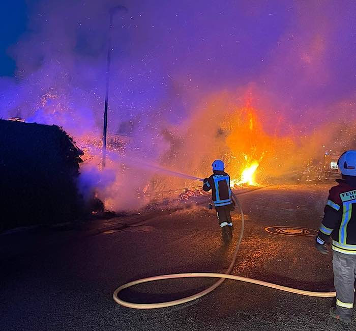 Brand einer Hecke (Foto: Feuerwehr Haßloch)