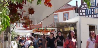 Marktgetummel mit regionalen Produkten und deutsch-französischem Flair: Die Biosphären-Bauernmärkte des Biosphärenreservats Pfälzerwald-Nordvogesen (Foto: Biosphärenreservat)