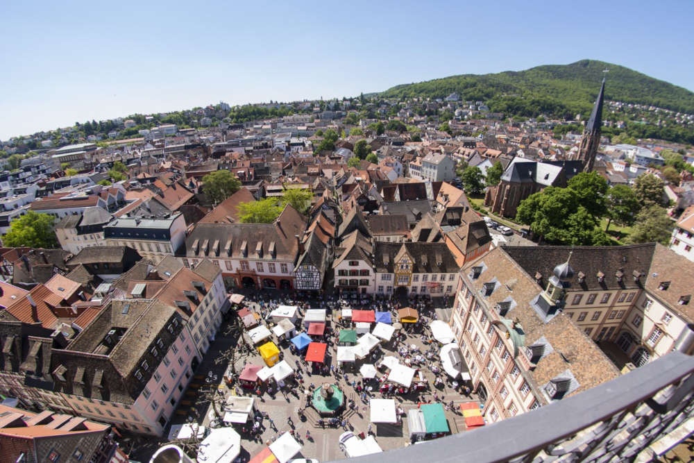 Leckere Produkte aus der Region kann man auf dem deutsch-französischen Biosphären-Bauernmarkt in Neustadt in wunderbarer Umgebung genießen (Foto: Biosphärenreservat/Venus)