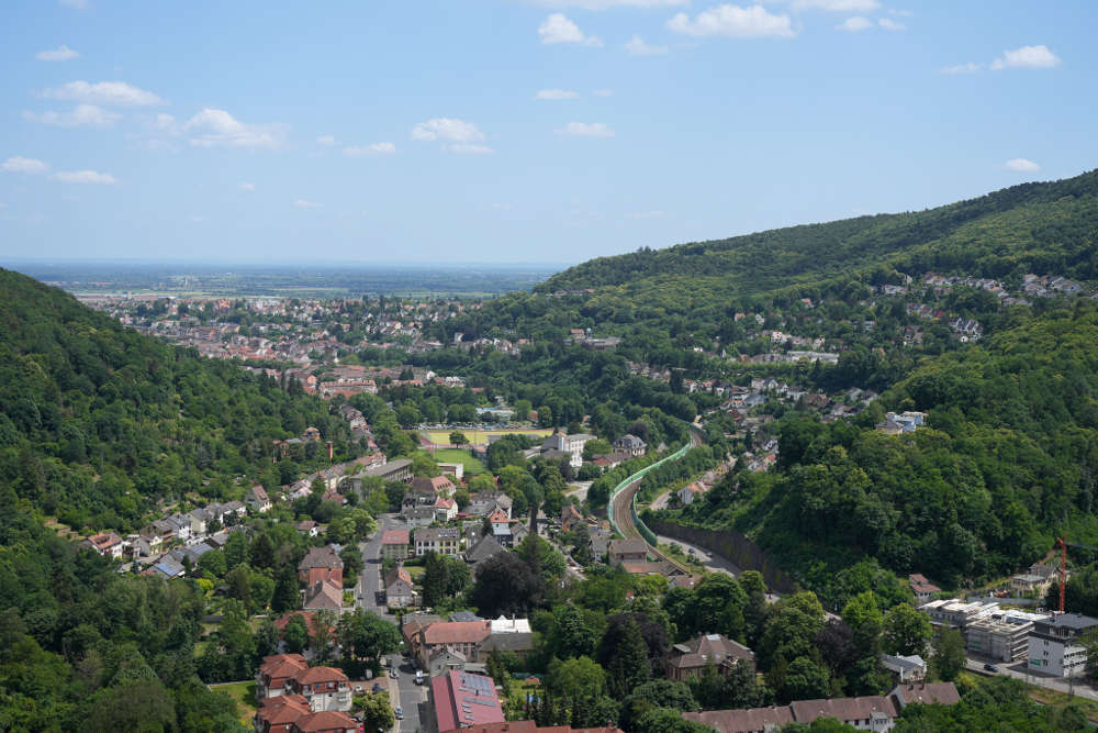 Blick von der Wolfsburg in die Rheinebene (Foto: Holger Knecht)