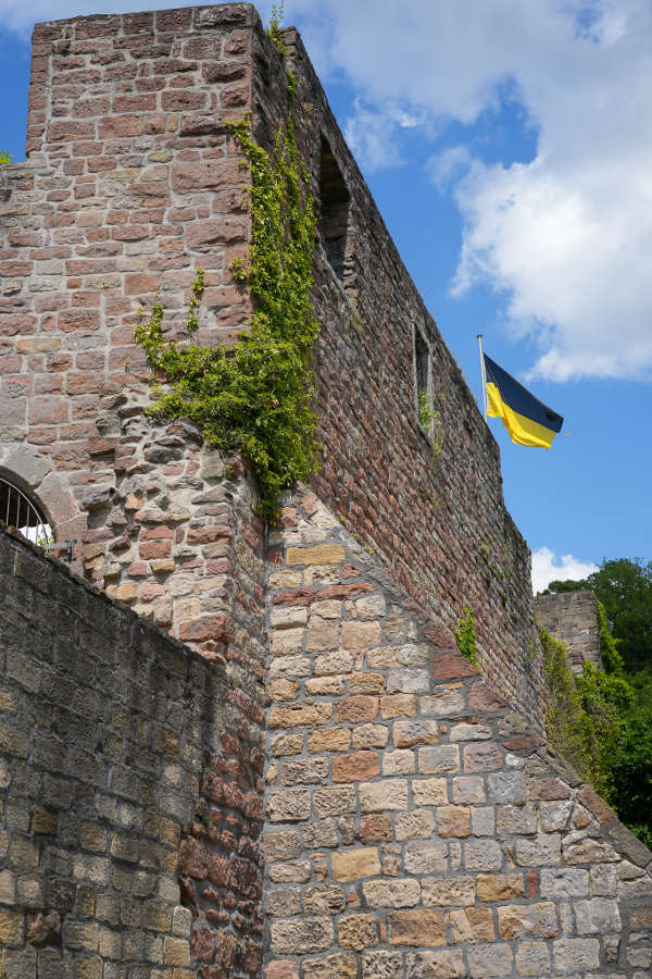 Wolfsburgfest Neustadt Weinstraße 2022 (Foto: Holger Knecht)