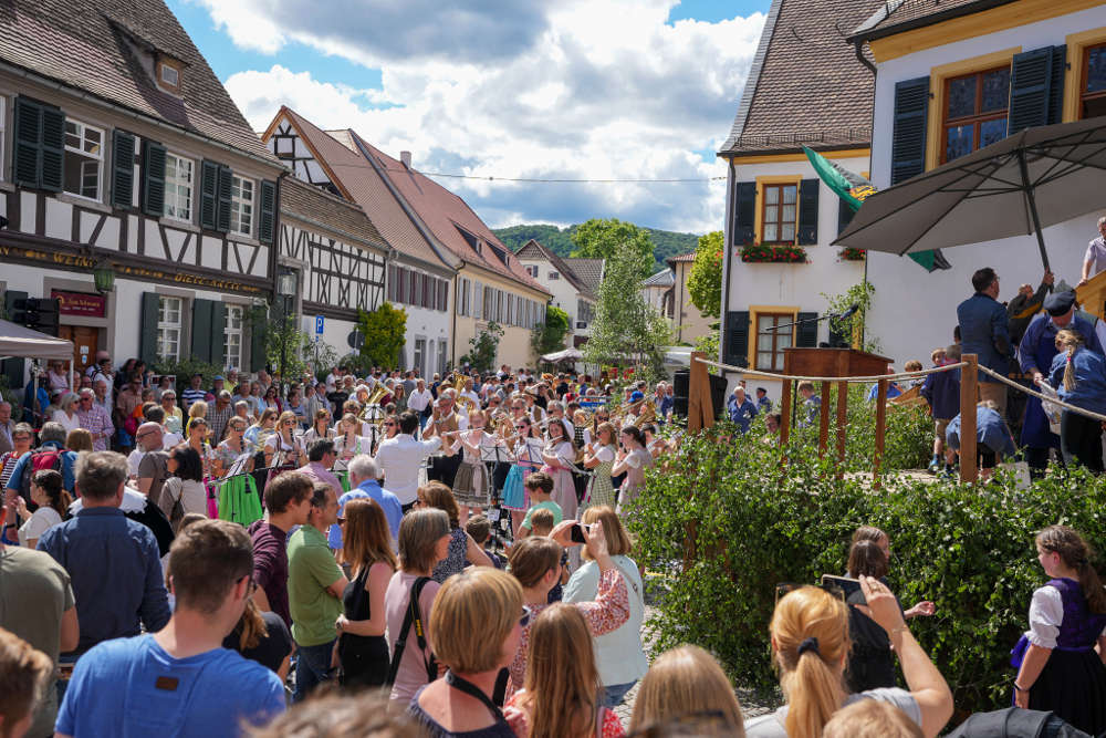 Deidesheim Geißbockversteigerung 2022 (Foto: Holger Knecht)