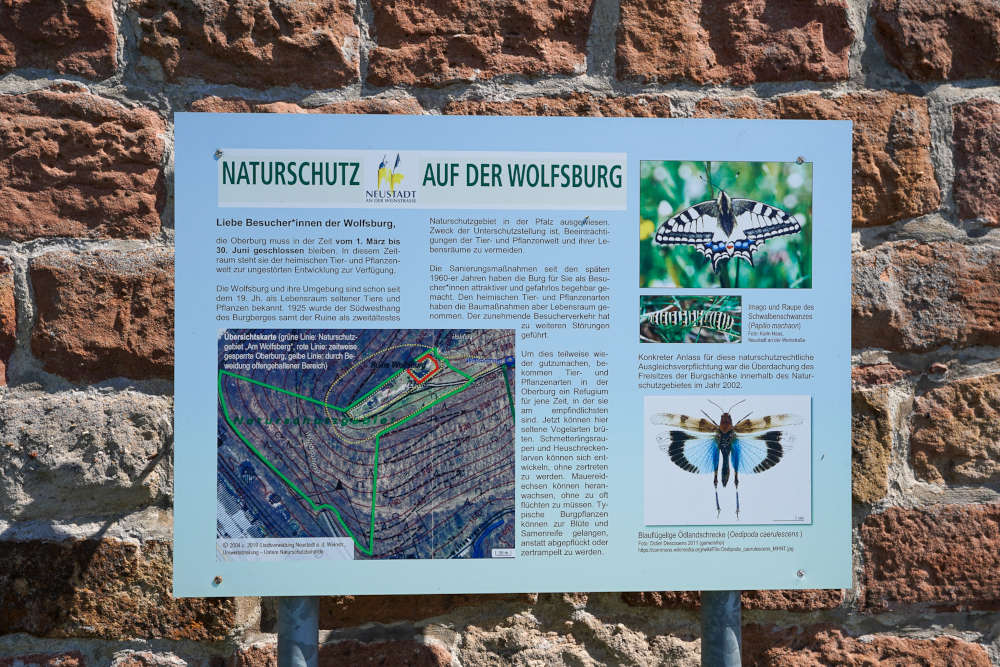 Naturschutz Hinweistafel (Foto: Holger Knecht)