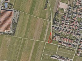 Ausgleichsfläche östlich Mußbach Metall im Bereich der Straße Schießmauer (Foto: Dr. Husemann)