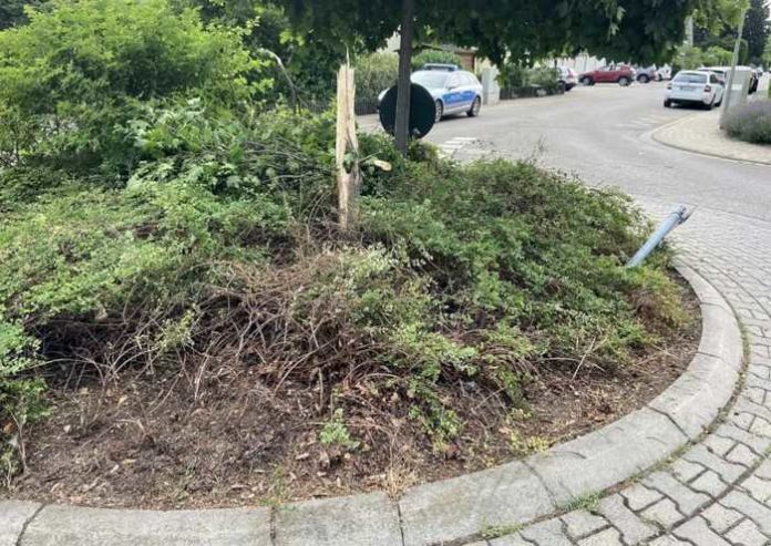 Maxdorf_überfahrener Kreisverkehr