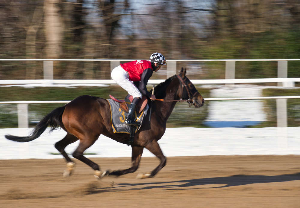 Symbolbild Pferde Rennsport Galopp (Foto: Pixabay/Paul Vom Ehrenberg)