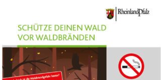 Plakat Schütze deinen Wald (Foto: Landesforsten RLP)