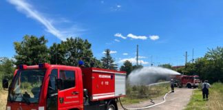 Löscharbeiten (Foto: Feuerwehr Neustadt)