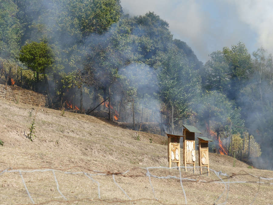 Foto: Feuerwehr Neustadt