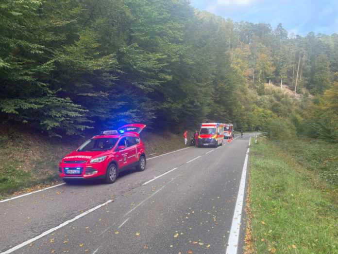 Einsatzfahrzeuge (Foto: Feuerwehr VG Lambrecht)