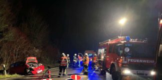 Verkehrsunfall (Foto: Feuerwehr Neustadt)