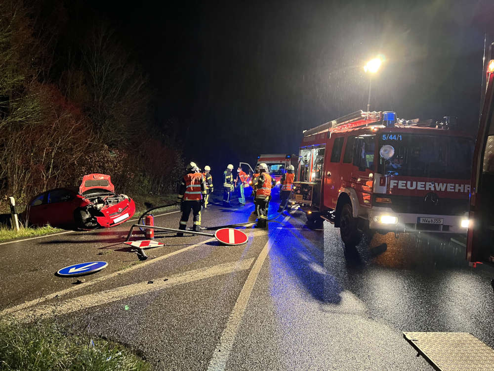 Verkehrsunfall (Foto: Feuerwehr Neustadt)