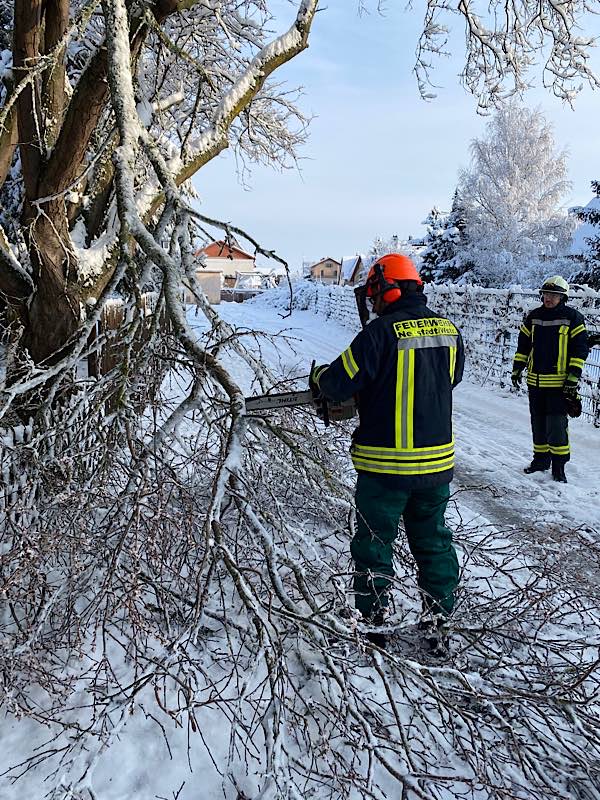 Ast in Mußbach (Foto: Feuerwehr Neustadt)