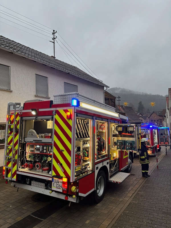 Kaminbrand (Foto: Feuerwehr VG Lambrecht)
