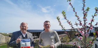 Landrat Hans-Ulrich Ihlenfeld und Rolf Kley (Foto: Kreisverwaltung Bad Dürkheim)