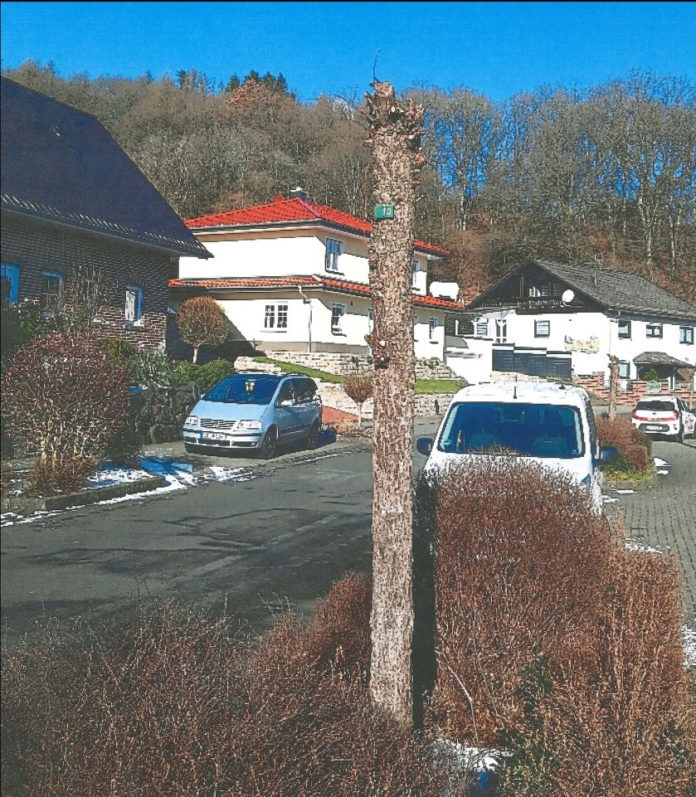Baumfrevel-In-den-Thalen